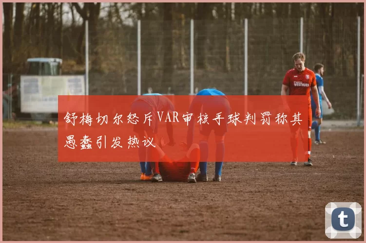 舒梅切尔怒斥VAR审核手球判罚称其愚蠢引发热议