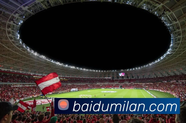 米兰体育APP 封面图